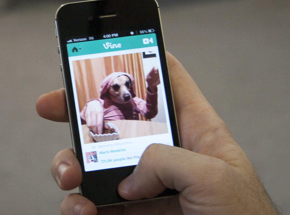 Why Did Vine Shut Down? Exploring the Reasons and Alternatives Why Did Vine Shut Down? Exploring the Reasons and Alternatives